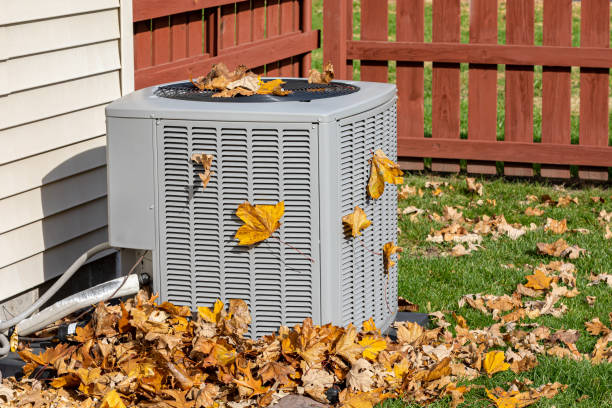 Best Best HVAC Companies  in Bellevue, OH